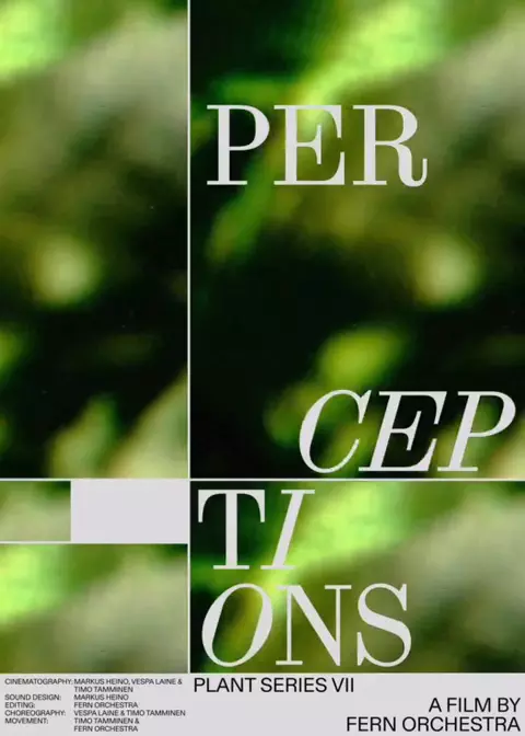 Perceptions